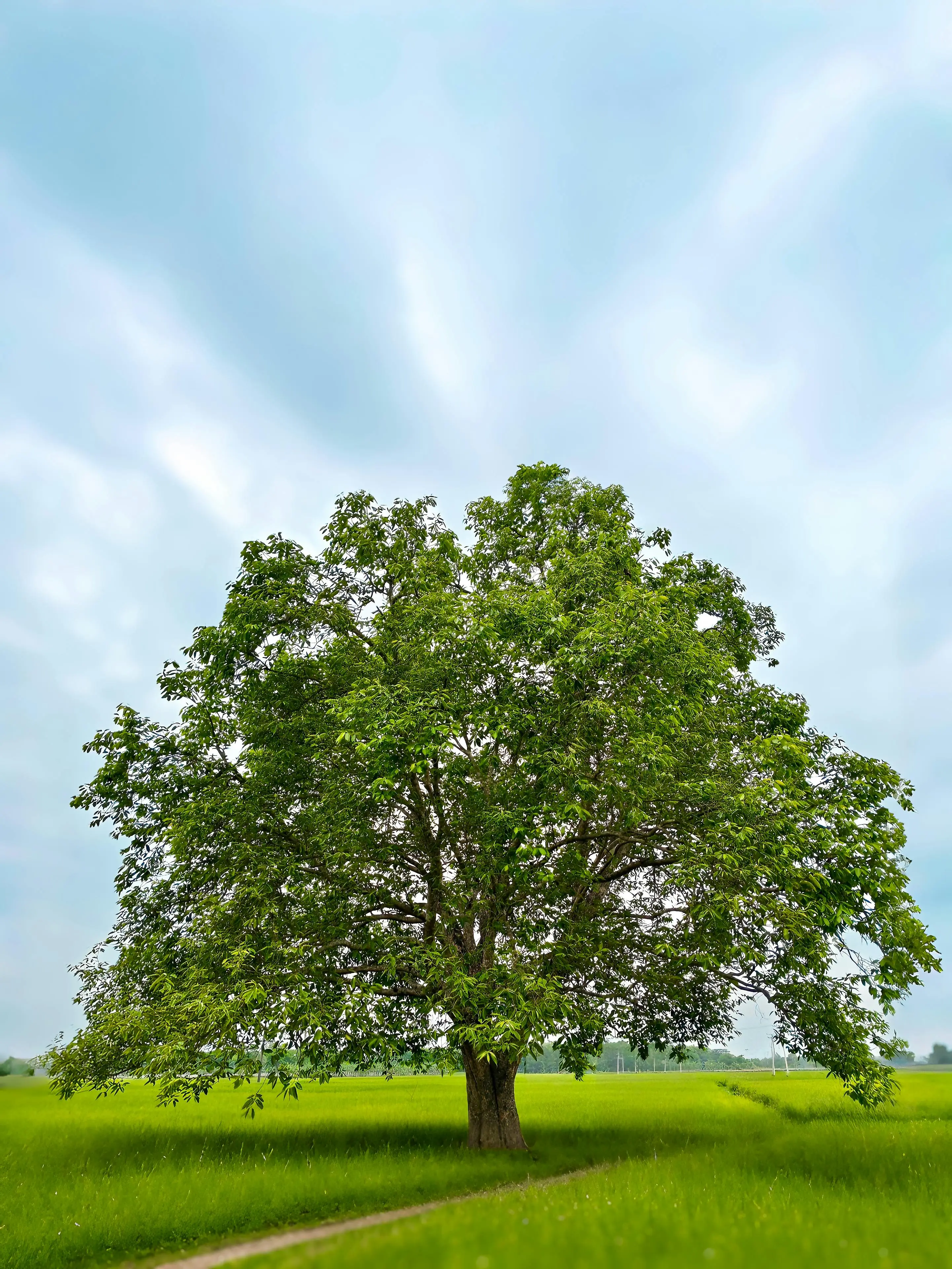 Короткі поради для спокійного повернення до цивільного ритму