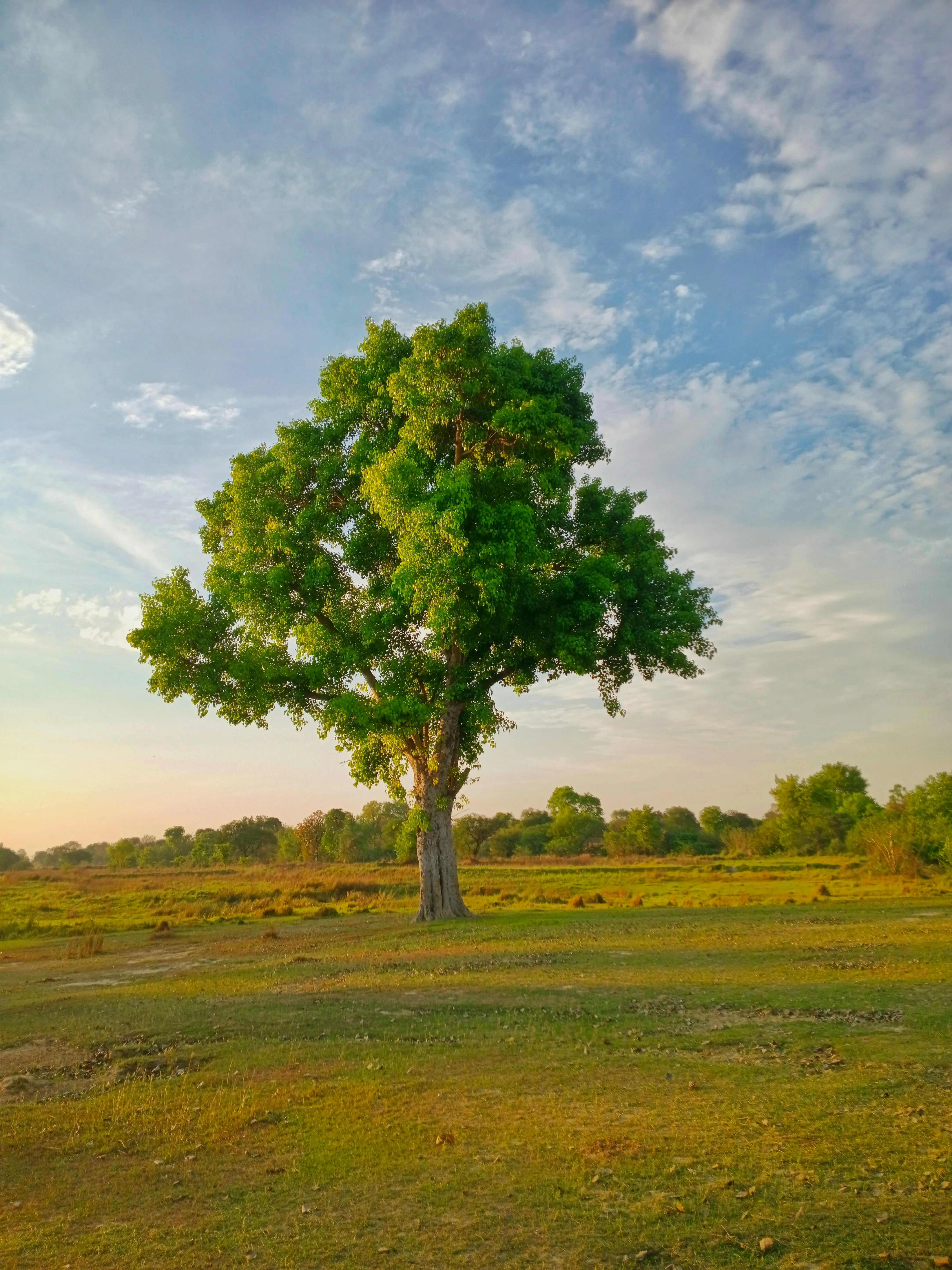 Живі розмови про шлях після служби